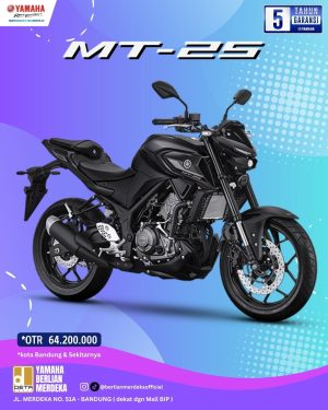 Alternative view of Yamaha MT-25 ABS