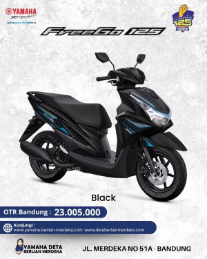 Alternative view of Yamaha Freego 125