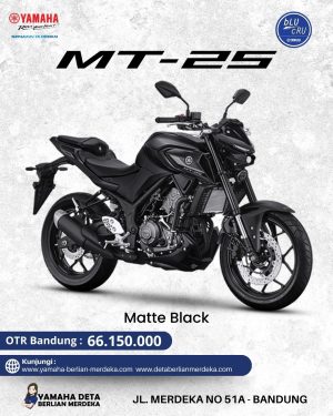 Alternative view of Yamaha MT-25 ABS