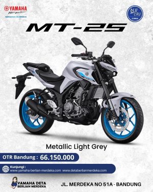 Yamaha MT-25 ABS