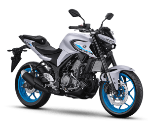 Alternative view of Yamaha MT-25 ABS