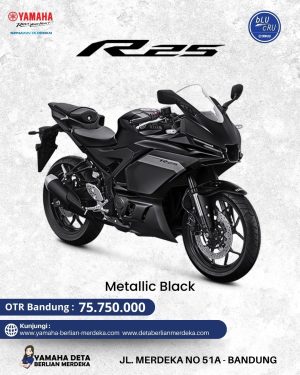 Alternative view of Yamaha R25 ABS