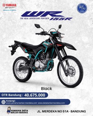 Alternative view of Yamaha WR 155R