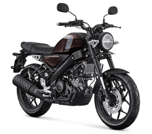 Alternative view of Yamaha XSR 155