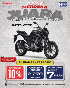 Yamaha MT-25 ABS