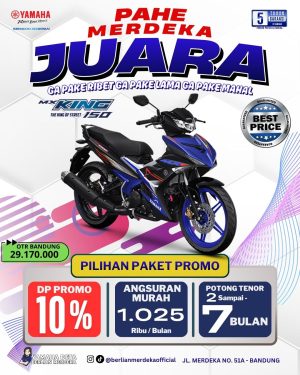 Yamaha MX King