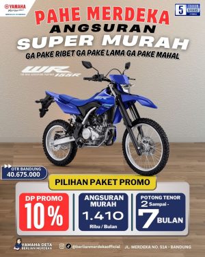 Yamaha WR 155R