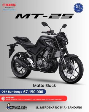 Yamaha MT-25 ABS