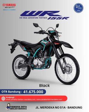 Alternative view of Yamaha WR 155R