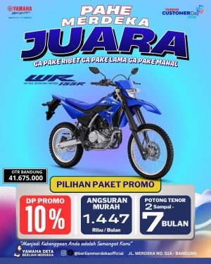 Yamaha WR 155R